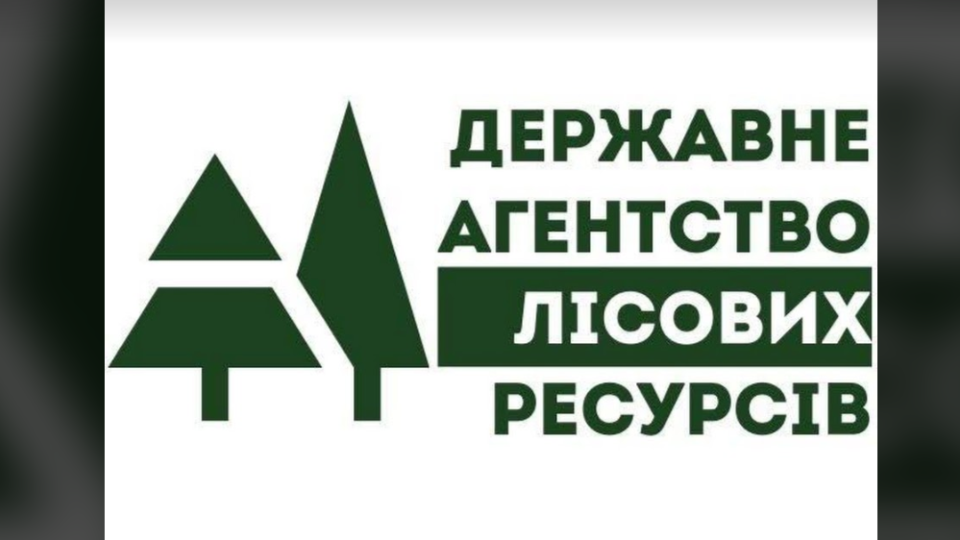 Кабмін призначив заступника голови Державного агентства лісових ресурсів