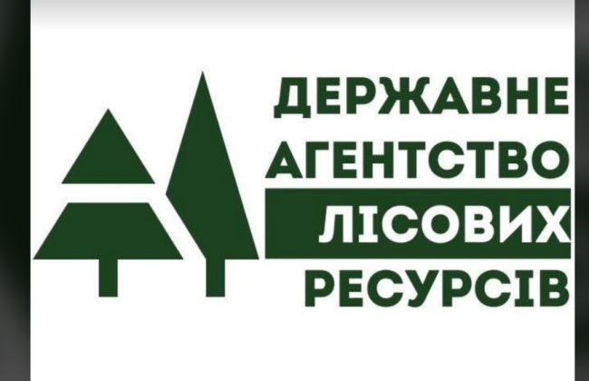 Кабмин назначил заместителя председателя Государственного агентства лесных ресурсов