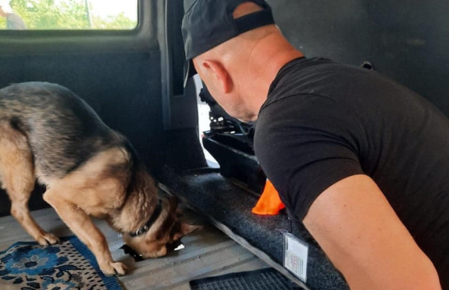 Супруги из Закарпатья пытались перевезти в Румынию 380 пачек сигарет в топливном баке