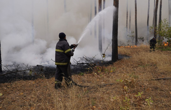 Жителей Киевщины предупредили о чрезвычайном уровне пожарной опасности
