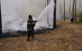 Жителів Київщини попередили про надзвичайний рівень пожежної небезпеки