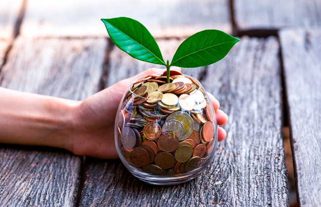 Налоговая декларация по экологическому налогу: как избежать ошибок и освободиться от штрафов