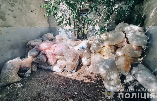 В Киеве и области, а также в Винницкой области предприниматели хранили в подпольных складах эпидемически опасные отходы