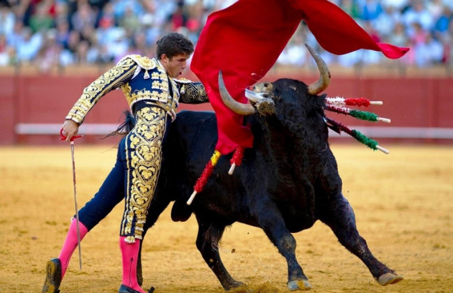 Парламент Колумбии проголосовал за запрет корриды