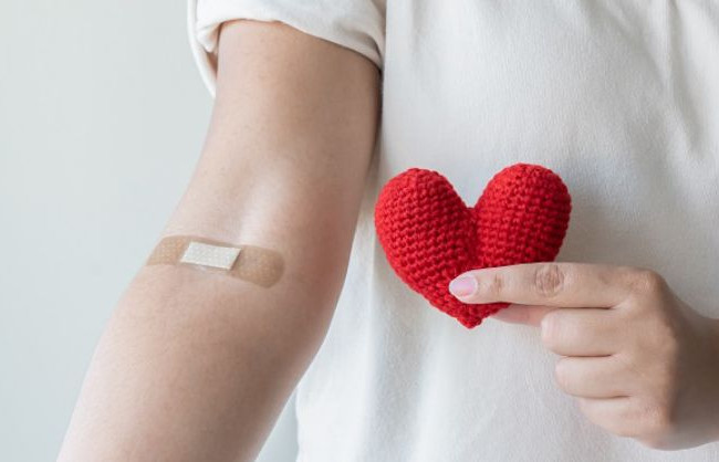 Правительство утвердило лицензионные условия для заготовки и тестирования донорской крови