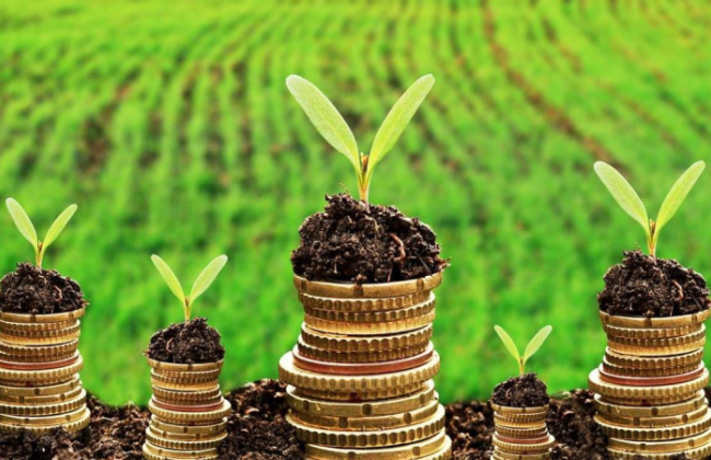 Будет ли штраф за корректировку суммы платы за землю в сторону уменьшения: разъяснение