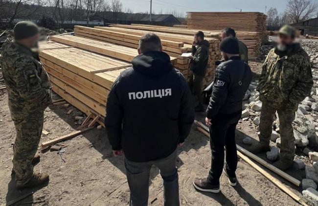 На Житомирщине полиция разоблачила схему «черных лесорубов», среди которых мастер леса
