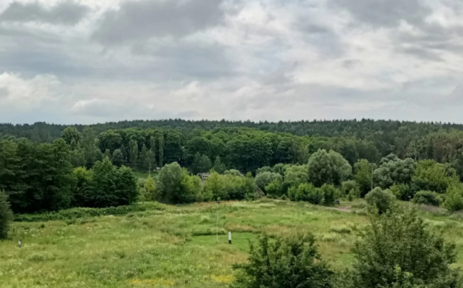 В Хмельницкой области государству вернули почти 300 га леса