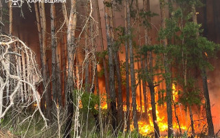 На Харківщині палає більше 3 700 гектарів лісів