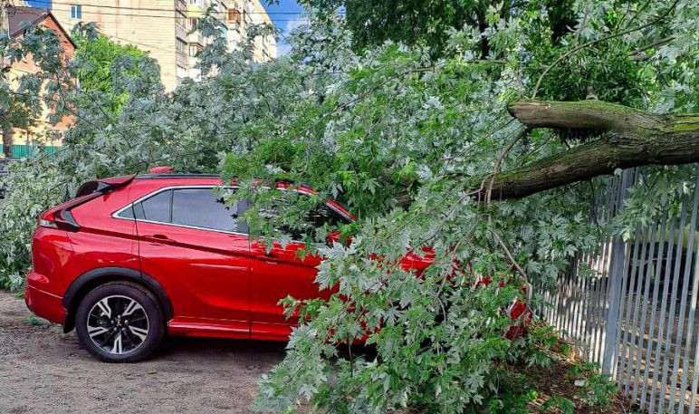 На Киевщине из-за непогоды тысячи семей остались без света