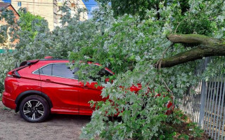 На Київщині через негоду тисячі родин залишилися без світла