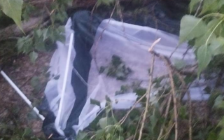 В Киеве во время грозы дерево упало на пляж – есть пострадавшие