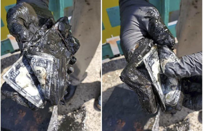 Рыбак нашел в водах Нью-Йорка сейф с $100 000 в водах Нью-Йорка