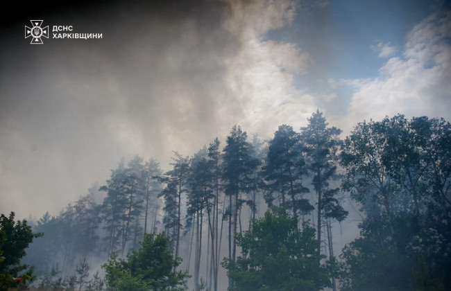 На Харьковщине продолжается ликвидация лесных пожаров – ГСЧС, фото