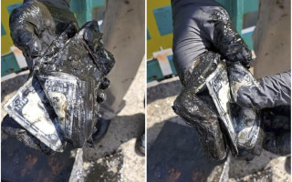 Рибак знайшов у водах Нью-Йорку сейф із $100 000