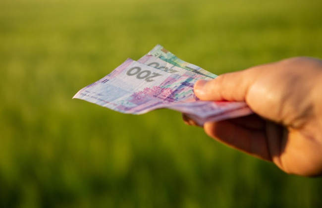 Стало известно, в каком случае плательщики ЕН освобождаются от уплаты земельного налога