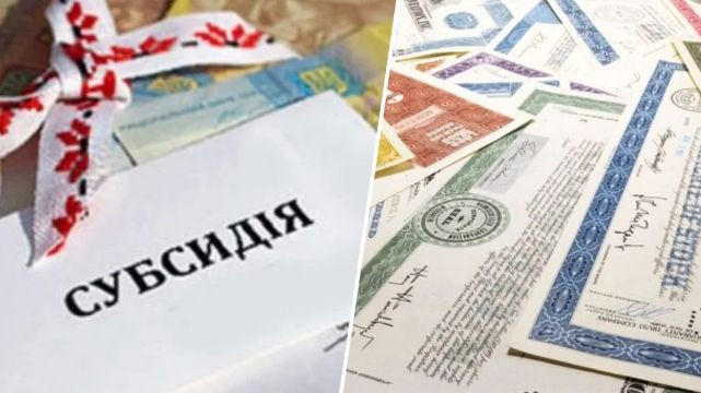 Яка інформація потрібна для заяви про субсидію: роз’яснення