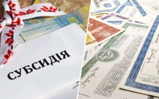 Яка інформація потрібна для заяви про субсидію: роз’яснення