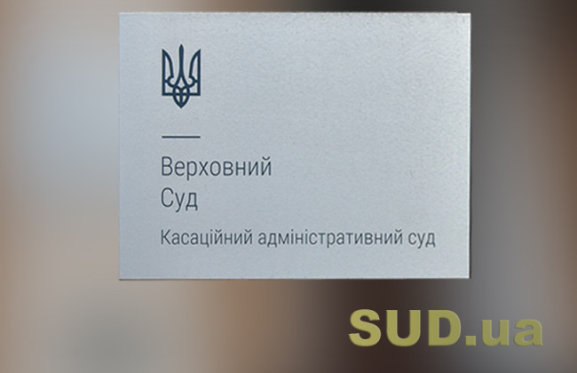 ВС растолковал применение штрафов на задолженность сверх размера субвенций