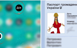На Одещині викрили 17-річного хлопця на продажі підробленої «Дії»