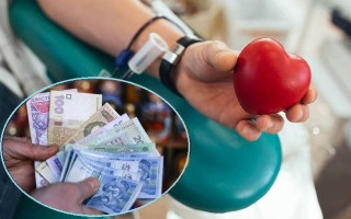 Ежемесячная прибавка к пенсии за донорство крови: что важно знать