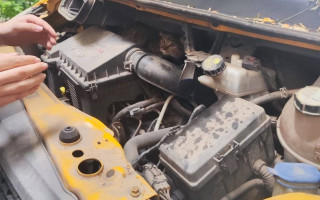 У Києві небайдужі разом з поліцією визволили кішку з моторного відсіку авто, фото
