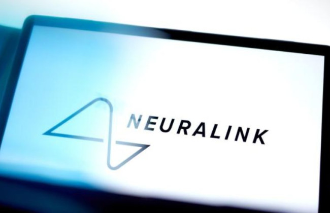 Экс-сотрудница Neuralink подала в суд на компанию Маска из-за опасных условий работы с обезьянами