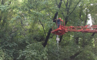У Києві вуличні ліхтарі можуть працювати в денний час доби – у КМДА назвали причину