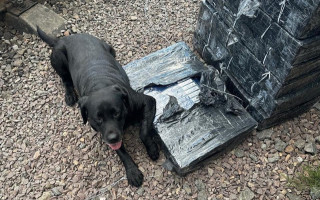 Контрабандисти поховали 5 тисяч пачок цигарок у вантажних потягах