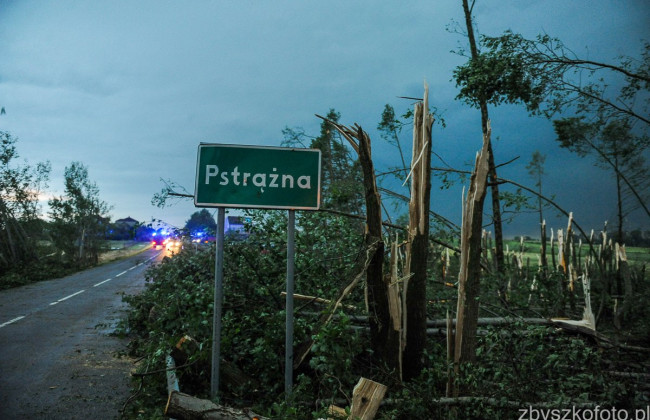 Мощные грозы в Польше: сломанные деревья, поврежденные дома и урожай