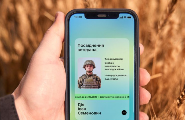 Е-удостоверение ветерана вместо бумажного: Кабмин поддержал изменения