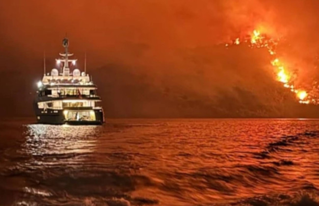 На греческом острове Гидра сгорел единственный лес из-за фейерверка с яхты: арестованы 13 туристов