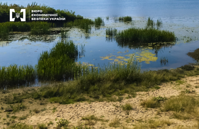 В Киеве хотели расчистить озеро за 79 млн гривен: чем все закончилось