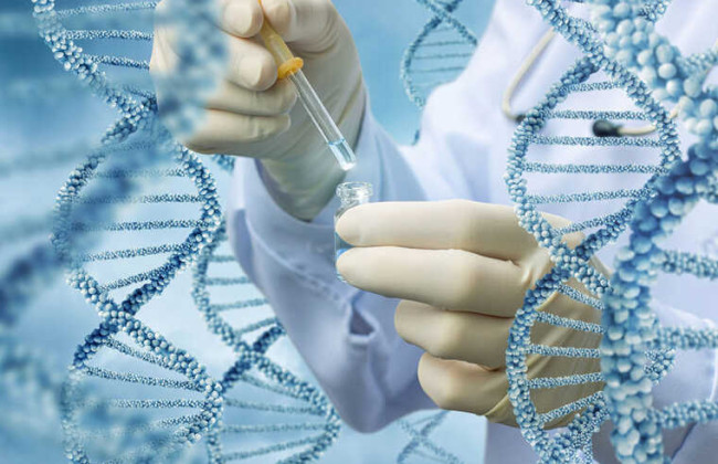 Украинцам в Европе продлят возможность ДНК-тестирования для поиска родных