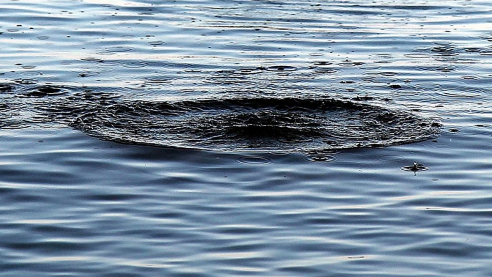 На Житомирщині в річці потонув випускник