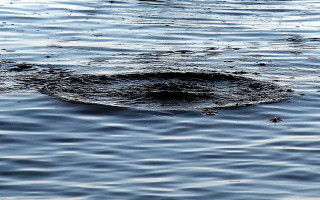 На Житомирщині в річці потонув випускник