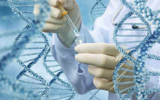 Українцям в Європі продовжать можливість ДНК-тестування для пошуку рідних