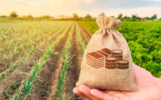 З 1 липня змінюється граничний розмір орендної плати за землю — нагадує ДПС