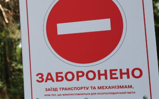 На Полтавщині та Харківщині громадянам заборонили відвідувати ліси: відома причина