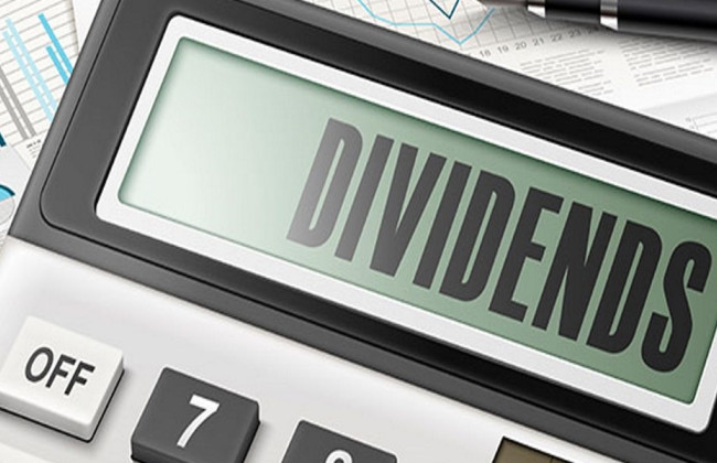 Распространяются ли наличные ограничения на выплату дивидендов учредителям: разъяснение