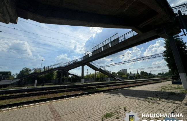 На Киевщине 65-летняя женщина сбросила собаку с железнодорожного моста: начато досудебное расследование