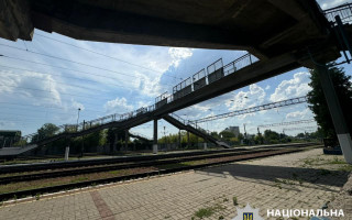 На Київщині 65-річна жінка скинула собаку з залізничного мосту: розпочато досудове розслідування