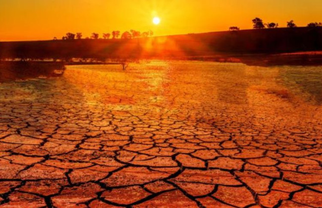 13 самых жарких месяцев за всю историю: температура на Земле бьет все рекорды