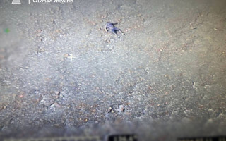 За 30 метрів від українського берега Тиси знайшли тіло людини