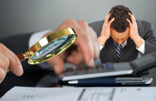 Суд подтвердил правомерность проведения налоговой проверки предпринимателя и определение налогов, подлежащих выплате в бюджет: детали дела