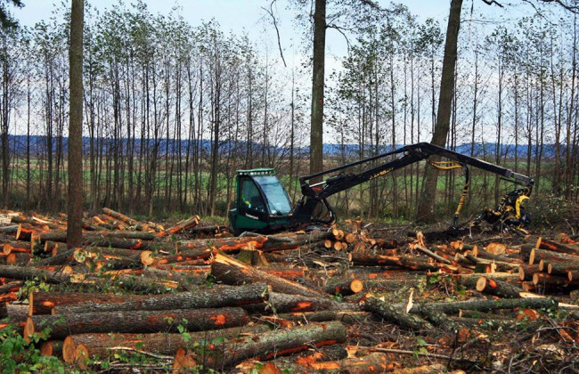 Особо ценные земли и участки леса будет проще отдать под размещение воинских частей, учреждений и военно-учебных заведений – Верховная Рада примет закон