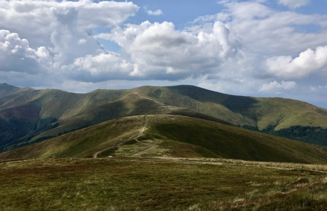 На Закарпатье через суд удалось сохранить уникальную горную долину Боржава от неправомерной застройки ветряными мельницами
