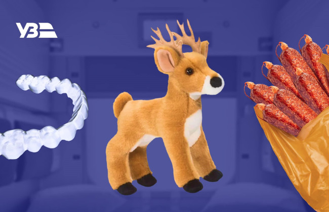 Пакет с колбасой и 120-сантиметровый игрушечный олень: что забывали пассажиры УЗ с начала года