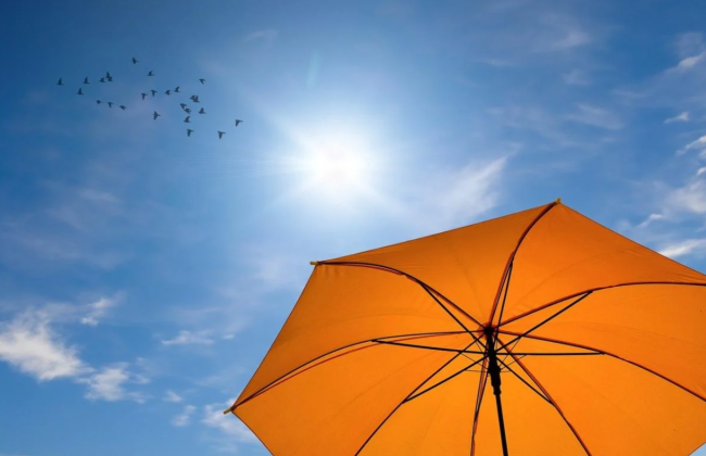 Что привело к аномальной жаре в Украине — ответ Укргидрометцентра