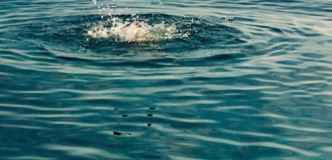 Смертельный отдых: за выходные на водоемах Украины утонуло 66 человек, среди них 10 детей